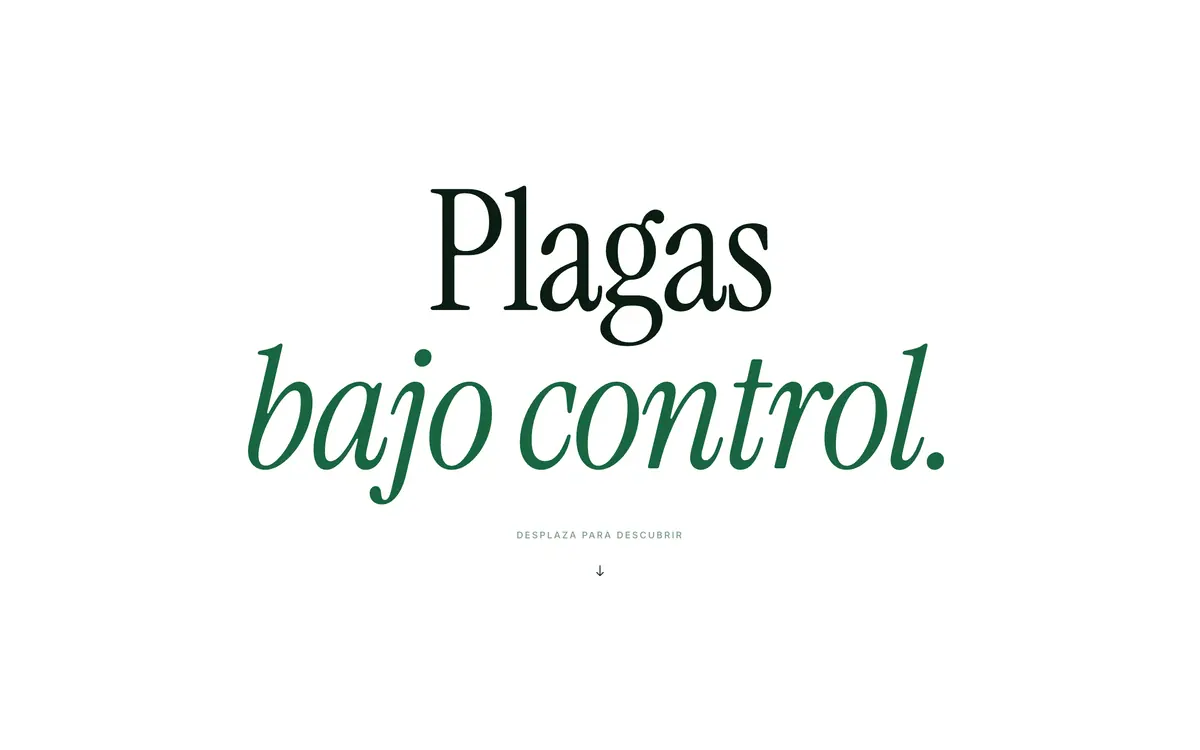 Captura de la web de ExpertoPlagas desarrollada por Manvex